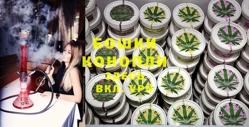 где найти наркотики  Курлово  Бошки марихуана OG Kush 